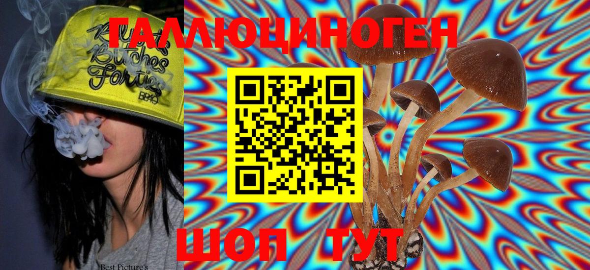 Галлюциногенные грибы Cubensis Тихорецк