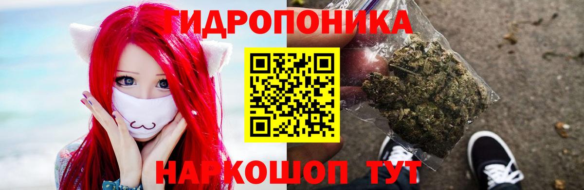 Конопля Bruce Banner  Каннабис THC 21%  Вход с VPN  Конопля THC 21%  Каннабис VHQ  Тихорецк 